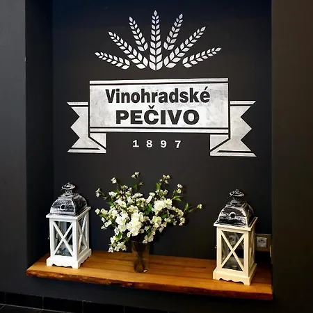 Design Loft 2 Minutes To Wenceslas Square شقة